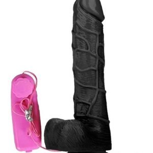 Black Dildo Soft And Head Rotated